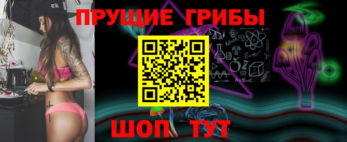 Галлюциногенные грибы Psilocybine cubensis Печора