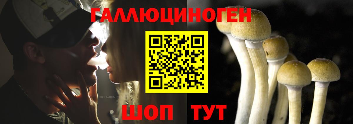 Псилоцибиновые грибы прущие грибы  Галлюциногенные грибы мицелий  даркнет сайт  Печора  Вход с VPN 